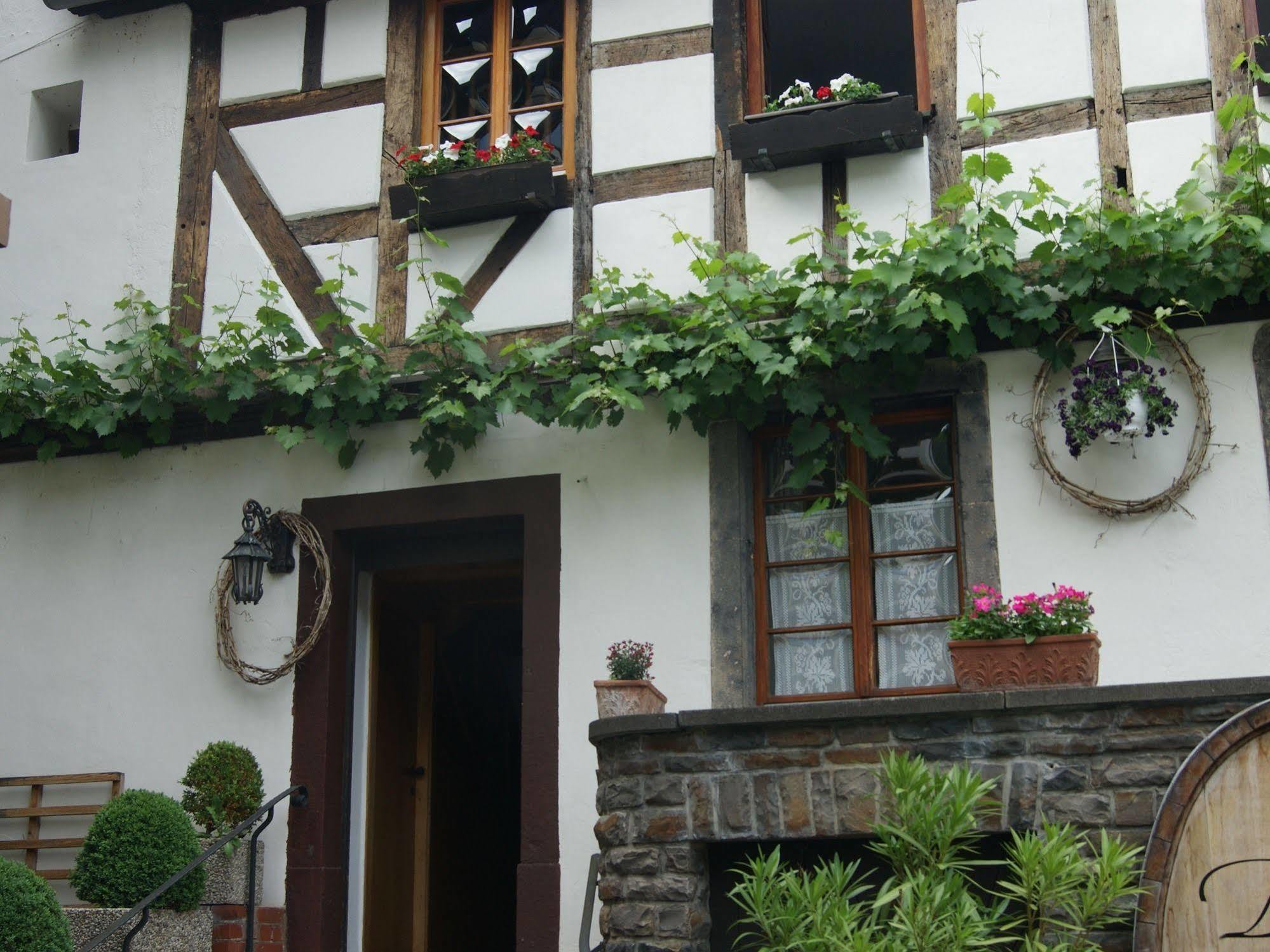 Hotel Weingut Dehren Ellenz-Poltersdorf Extérieur photo