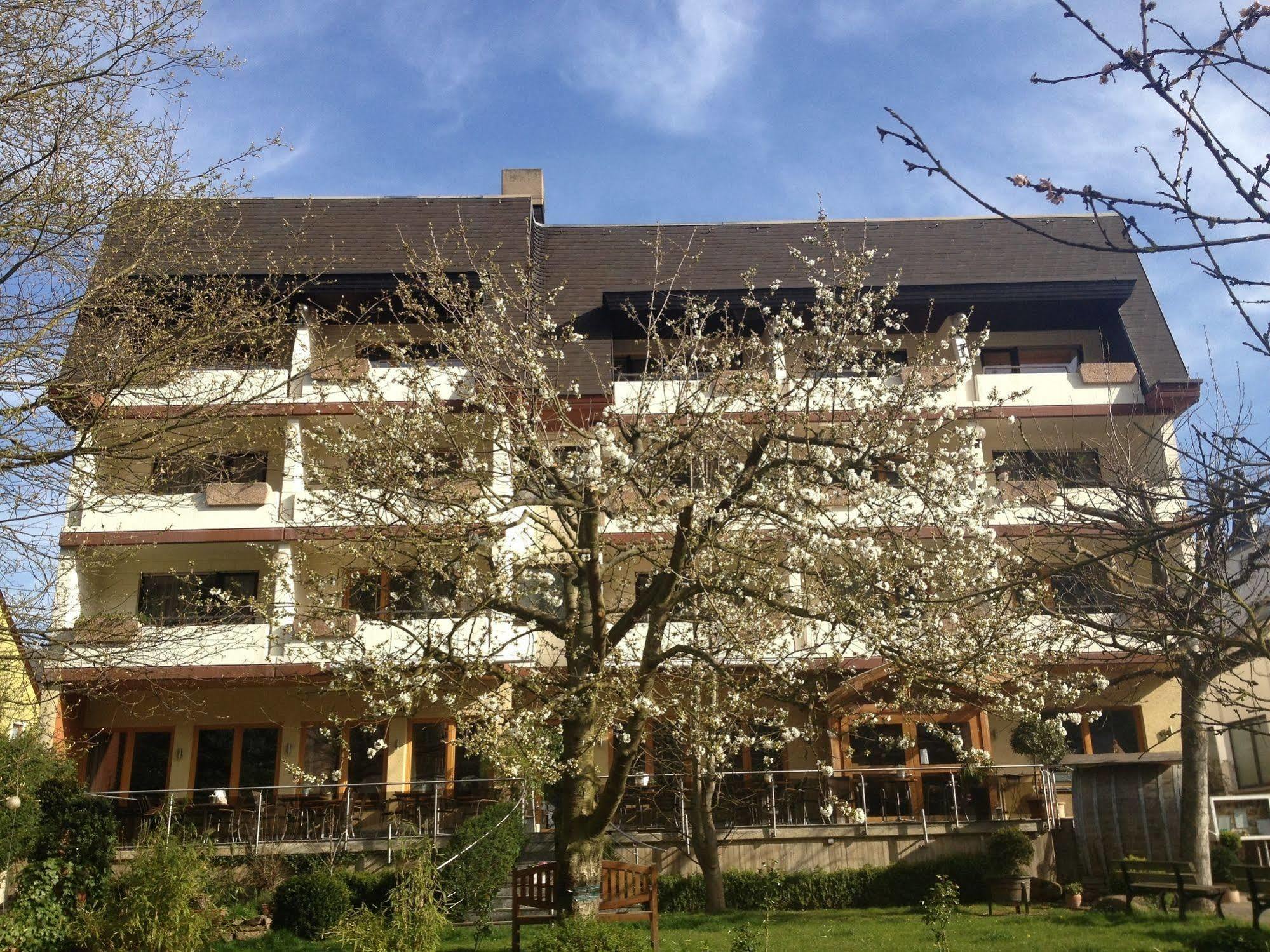 Hotel Weingut Dehren Ellenz-Poltersdorf Extérieur photo