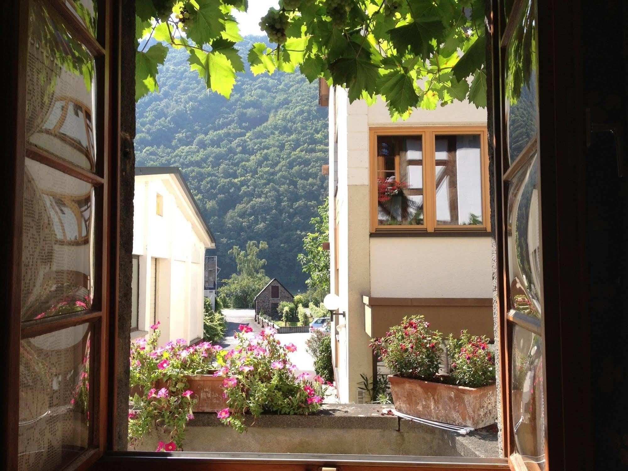 Hotel Weingut Dehren Ellenz-Poltersdorf Extérieur photo